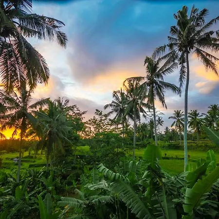 Kencana House Ubud Appartamento